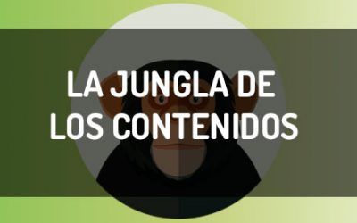 Estudio de contenidos en infografía, quién eres en la jungla del marketing