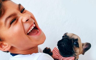 Por qué prestar más atención a las parodias en Twitter