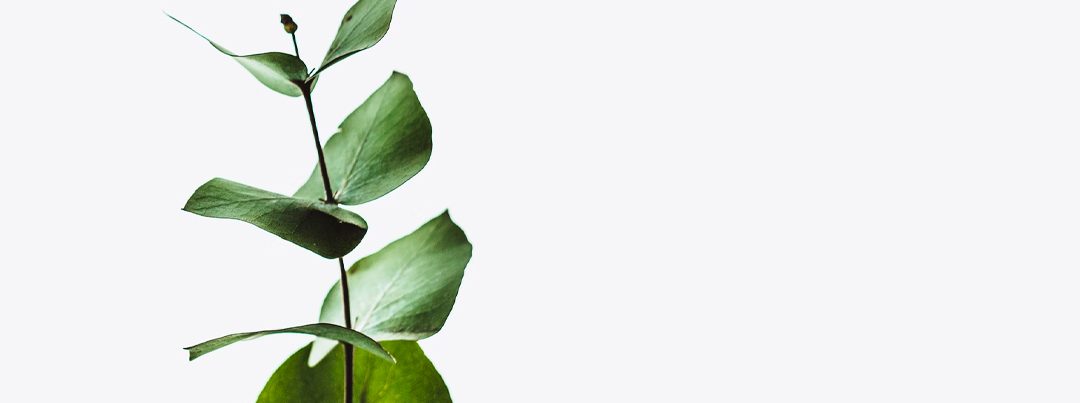 Cómo hacer una propuesta de valor: guía sencilla + ejemplos