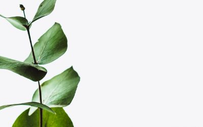 Cómo hacer una propuesta de valor: guía sencilla + ejemplos