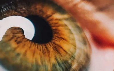 Comunicación visual, campañas para principiantes