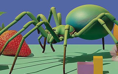 Gráficos de araña, qué son y cómo diseñarlos