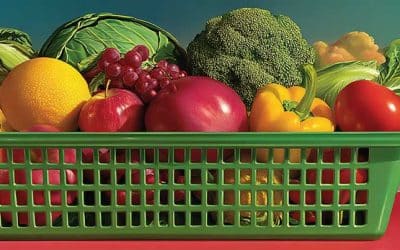 Marketing para ecommerce, estrategias baratas que funcionan en 2026