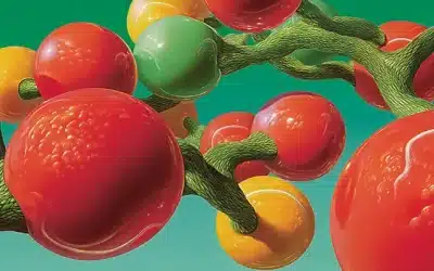 Entidades SEO: cómo definir tus entidades clave para que la IA te reconozca como fuente