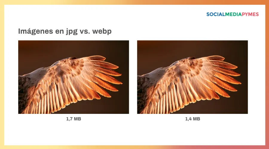 Diferencia entre el fortamo jpg y el webp